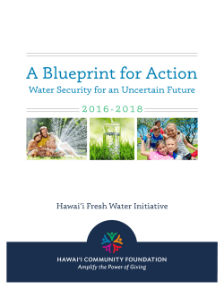 A Blueprint for Action - Hawaii Community Foundation