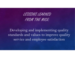 Developing and implementing quality standards and