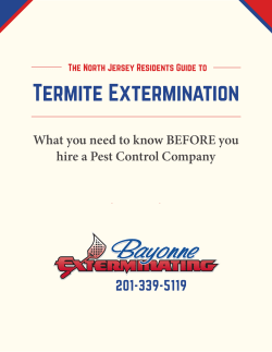 Termite Extermination