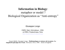 Information in Biology: metaphor or model ? Biological Organization
