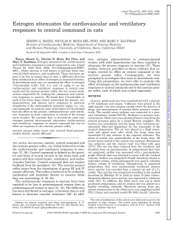 Estrogen attenuates the cardiovascular and ventilatory responses to