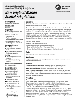 New England Marine Animal Adaptations