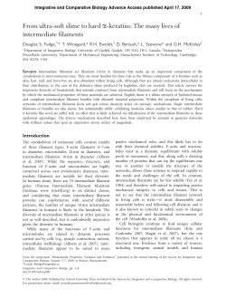 From ultra-soft slime to hard a-keratins: The many lives of