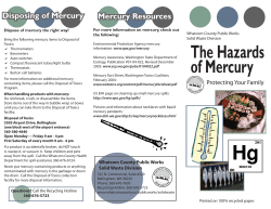 Mercury Brochure