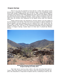 Dragoon Springs - Tom Todd Books