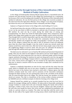 Food Security through System of Rice Intensification ( SRI) Method