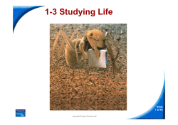 1-3 Studying Life