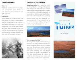 Tundra Climate Threats to the Tundra
