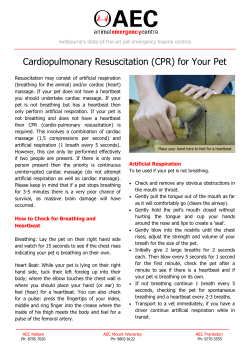 (CPR) for Your Pet