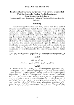 Isolation of Tetrahymena pyriformis From Several