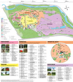 MEADOWS NORTH WOODS MuSEuM Hill MuSEuM Hill DETAil