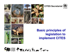 Basic principles of legislation to implement CITES
