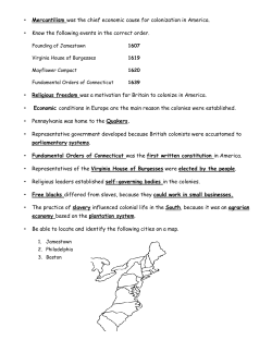 Mercantilism was the chief economic cause for