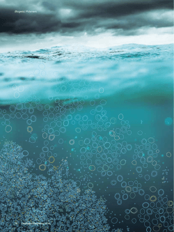 Guiding Algae to Do Delicate Construction Work