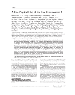 A Fine Physical Map of the Rice Chromosome 4