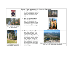 Forest Fires: Answers to 12 Common Questions