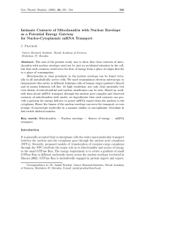 Intimate Contacts of Mitochondria with Nuclear Envelope as a