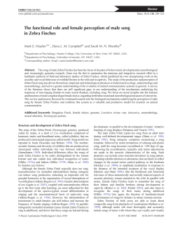 The functional role and female perception of male song in Zebra