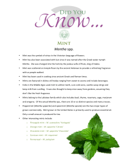 Mentha spp. - Herb Society of America