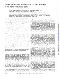 ACELL Mar. 45/3 - AJP-Cell