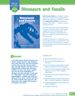 Dinosaurs and Fossils