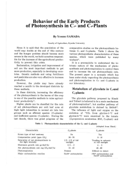 Behavior of the Early Products of Photosynthesis in C3- and C4