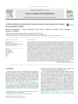 A robust method to determine historical annual cone production
