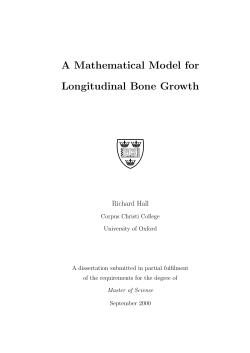 A Mathematical Model for Longitudinal Bone Growth