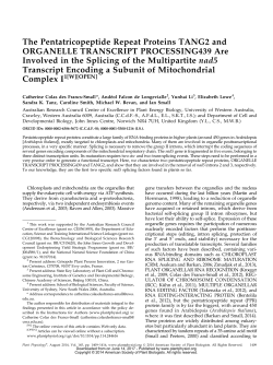 The Pentatricopeptide Repeat Proteins TANG2 and ORGANELLE
