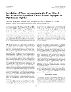 Regulation of Water Absorption in the Frog Skins by Two Vasotocin