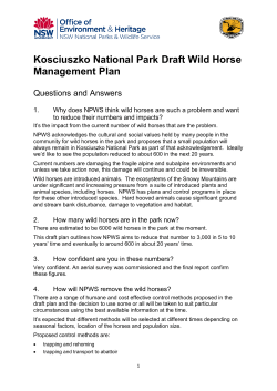 Kosciuszko National Park Draft Wild Horse