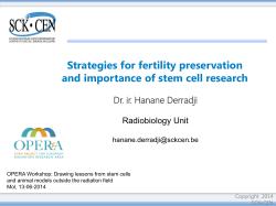 Strategies for fertility preservation and importance of stem cell