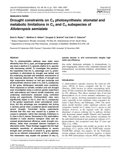 Drought constraints on C4 photosynthesis