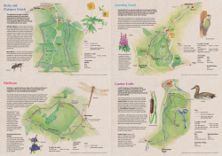 Short Walks in the Rye Countryside - page 2