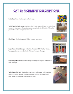 Toilet Paper Roll with Catnip: Fray the ends of a toilet