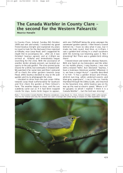 The Canada Warbler in County Clare &ndash; the second for the Western
