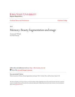 Memory: Beauty, fragmentation and image