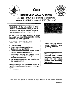 direct vent wall furnace