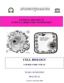STB 121 PRAT - Unesco