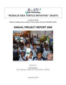 &ldquo;ROSALIE SEA TURTLE INITIATIVE&rdquo; (RoSTI)