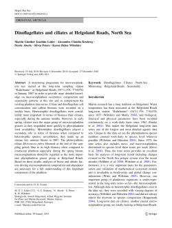 Dinoflagellates and ciliates at Helgoland Roads, North Sea