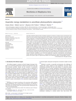 Anaerobic energy metabolism in unicellular photosynthetic eukaryotes