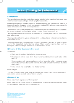 Factors Effecting the Environment