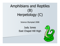 Amphibians and Reptiles (B) Herpetology (C)