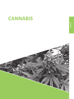 cannabis - Australian Criminal Intelligence Commission