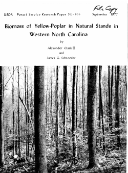 Biomass of Yellow-Poplar in Natural Stands in Western North Carolina
