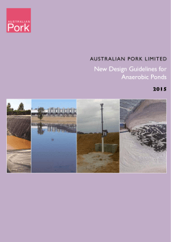 New Design Guidelines for Anaerobic Ponds