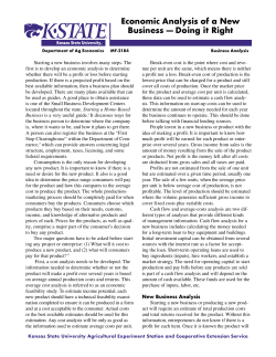 Economic Analysis of a New Business, Doing it Right
