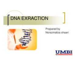 DNA EXRACTION