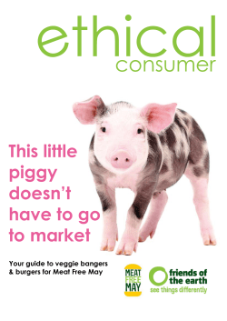 Ethical Consumer - Friends of the Earth